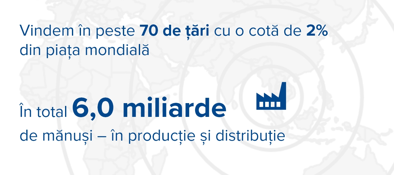 Pe ce piață operăm?
