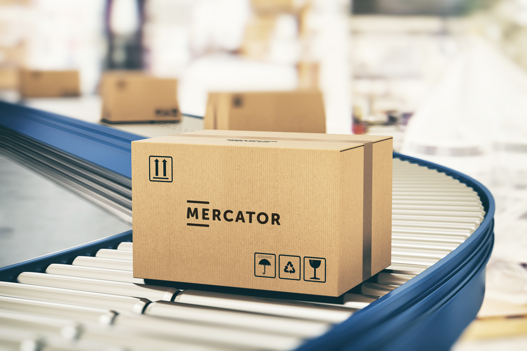 Componența Grupului Mercator Medical