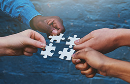 Mai multe companii din Europa, America de Nord și Asia